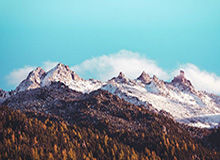 博鱼-山东高速男篮大胜宁波，鲍威尔得22分，赛后回应状态低迷原因